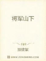 《将军山下》小说封面