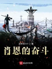 《肖恩的奋斗》小说封面