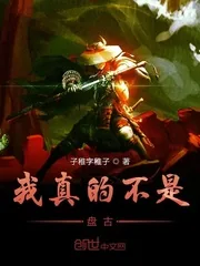《我真的不是盘古》小说封面
