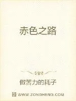 《小兵们》小说封面