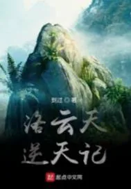 《洛云天逆天记》小说封面