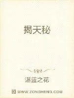 《揭天秘》小说封面