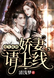 《重生暖婚：娇妻，请上线》小说封面