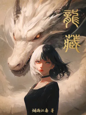 《龙藏》小说封面