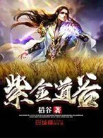 《紫金道谷》小说封面