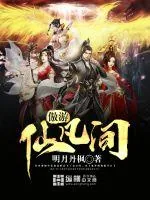《傲游仙凡间》小说封面
