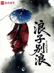 《浪子别浪》小说封面