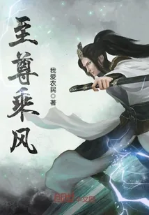《至尊乘风》小说封面