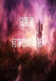 《归星录》小说封面