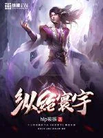 《纵绝寰宇》小说封面