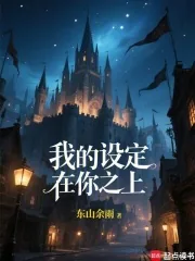 《我的设定在你之上！》小说封面