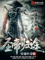 《圣帝归途》小说封面