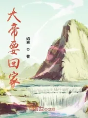 《大帝要回家》小说封面