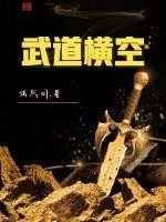 《武道横空》小说封面