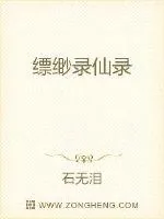 《缥缈录仙录》小说封面