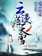 《云落漫天雪》小说封面