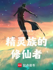 《精灵族的修仙者》小说封面