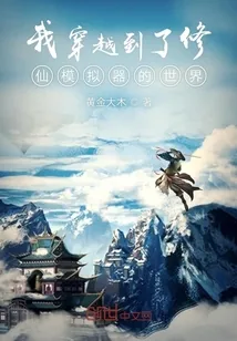 《我穿越到了修仙模拟器的世界》小说封面