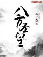 《八方圣皇》小说封面