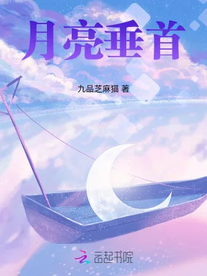 《月亮垂首》小说封面
