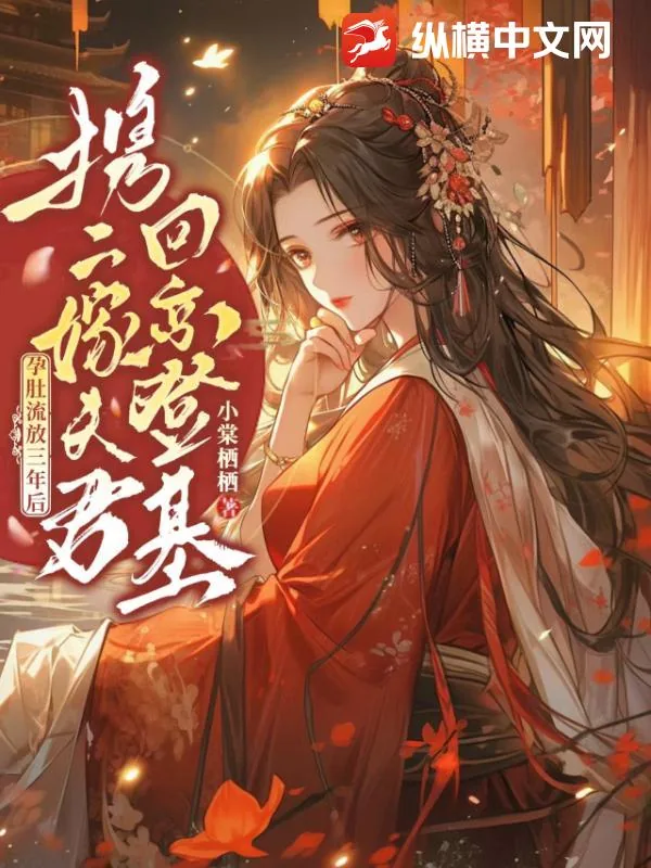 《孕肚流放三年后,携二嫁夫君回京登基!》小说封面