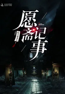 《愿斋记事》小说封面